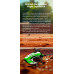 BAF080010 S2 Ultra Green BNF Helicopter